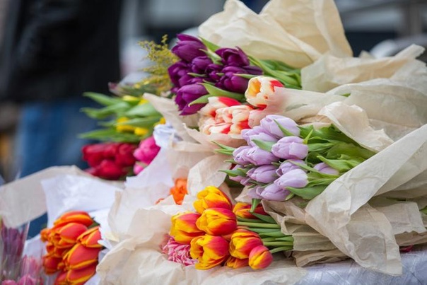 Организация предпраздничной и праздничной торговли цветами в преддверии праздника «Международный женский день» в 2024 году.