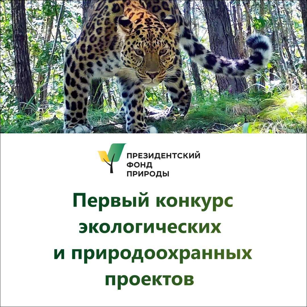 До 30 апреля принимаются заявки на первый конкурс Президентского фонда природы.