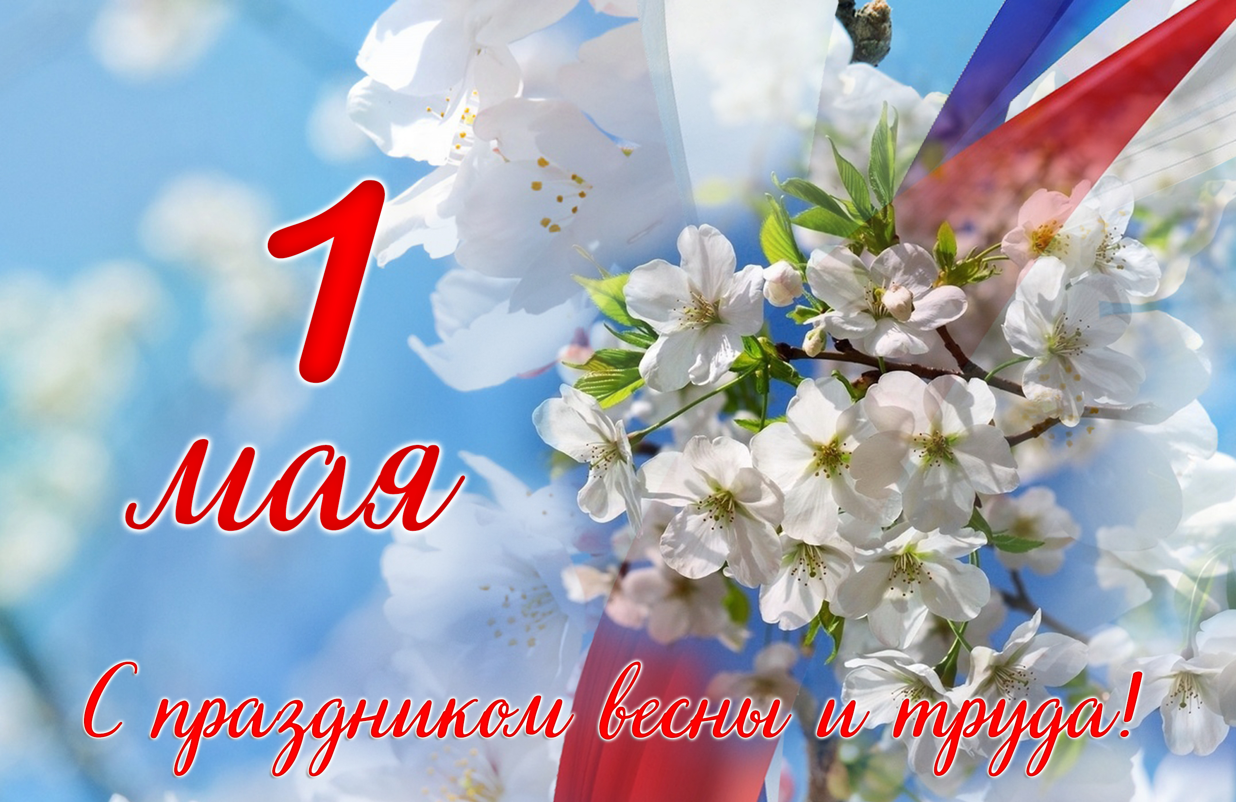 Поздравляем с праздником Весны и Труда!.