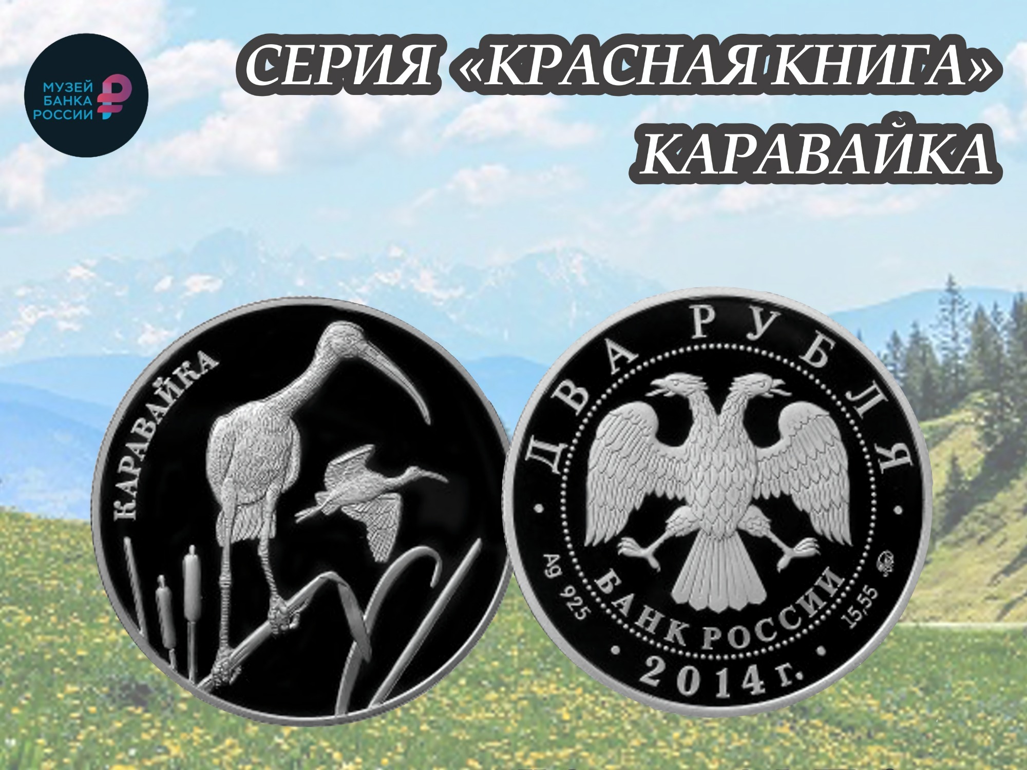 Монета с тайной: каравайка — птица, чьи перья играют всеми цветами радуги.