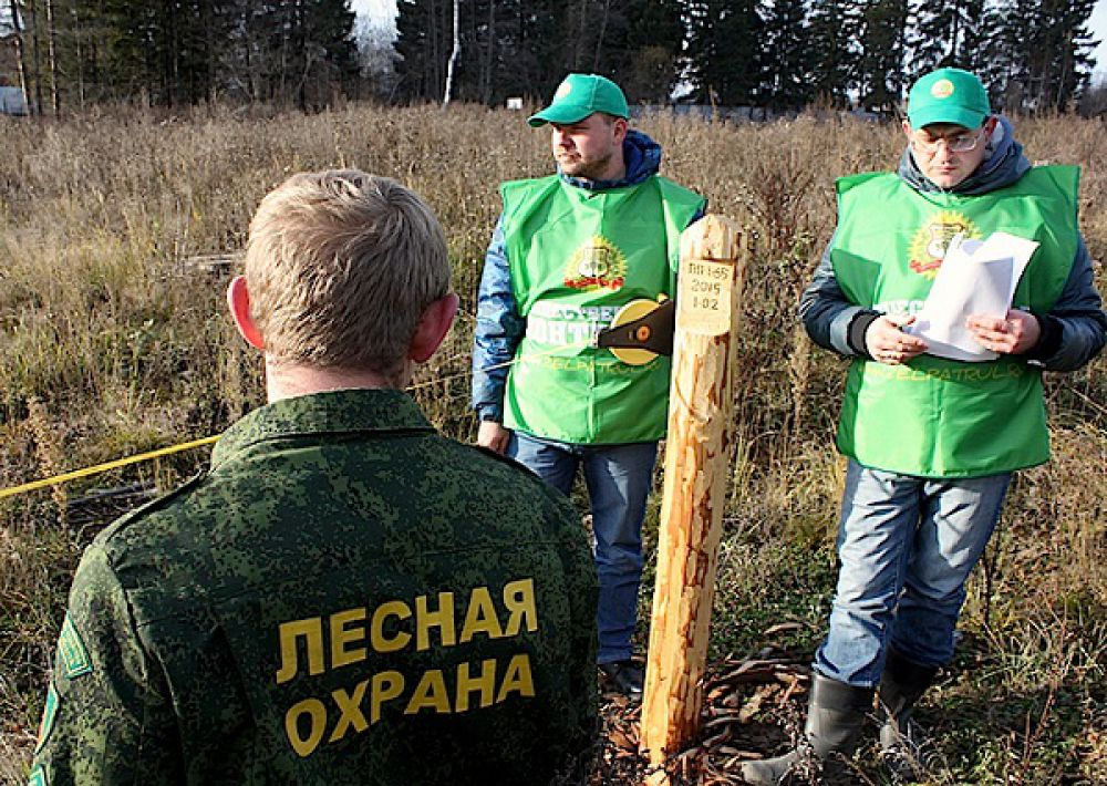 В Калужской области растет движение общественных лесных инспекторов