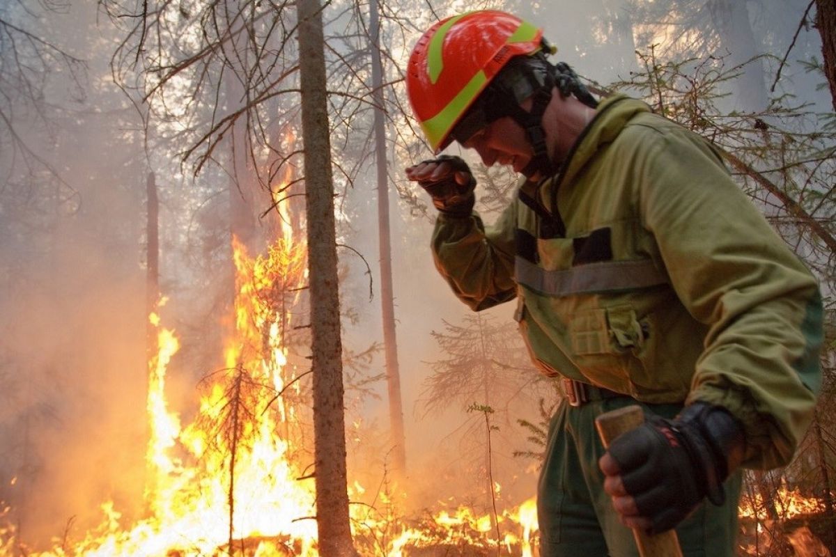 Увеличились размеры административных штрафов за нарушения правил пожарной безопасности в лесах