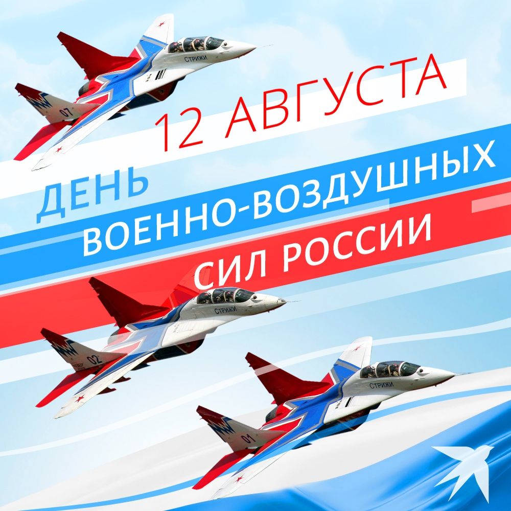 Сегодня Военно-воздушным силам России исполняется 110 лет!