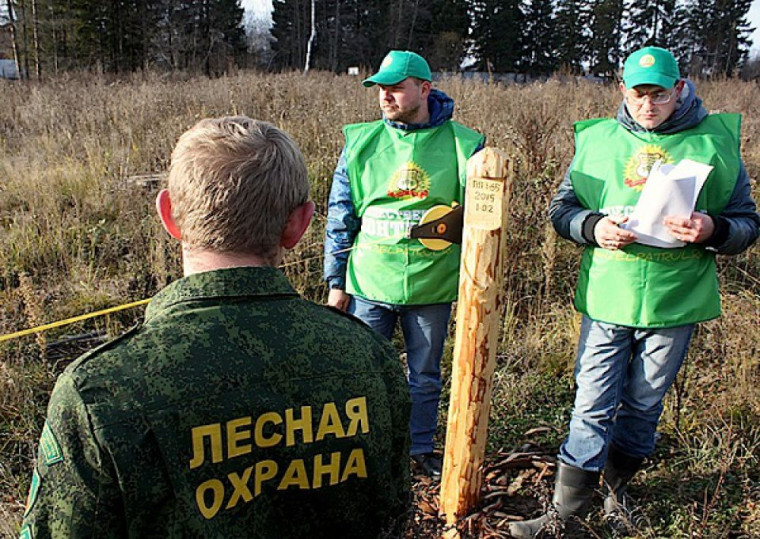 В Калужской области растет движение общественных лесных инспекторов.