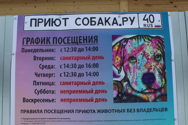 В Кирове открылся пункт передержки для бездомных собак.