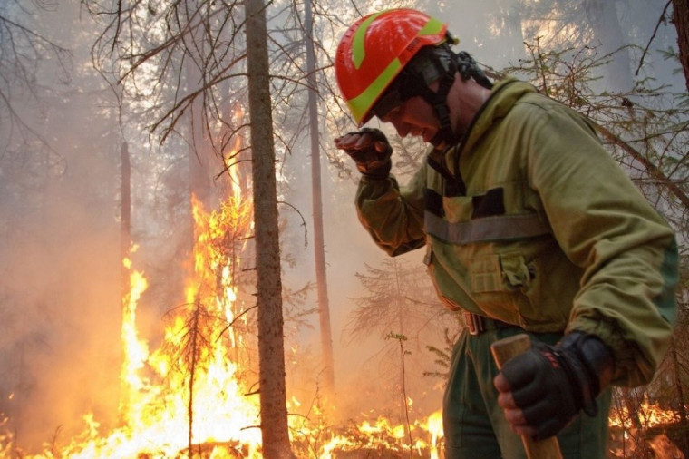 Увеличились размеры административных штрафов за нарушения правил пожарной безопасности в лесах.